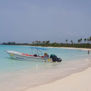 VIP Tour: Ausflug zur Isla Saona